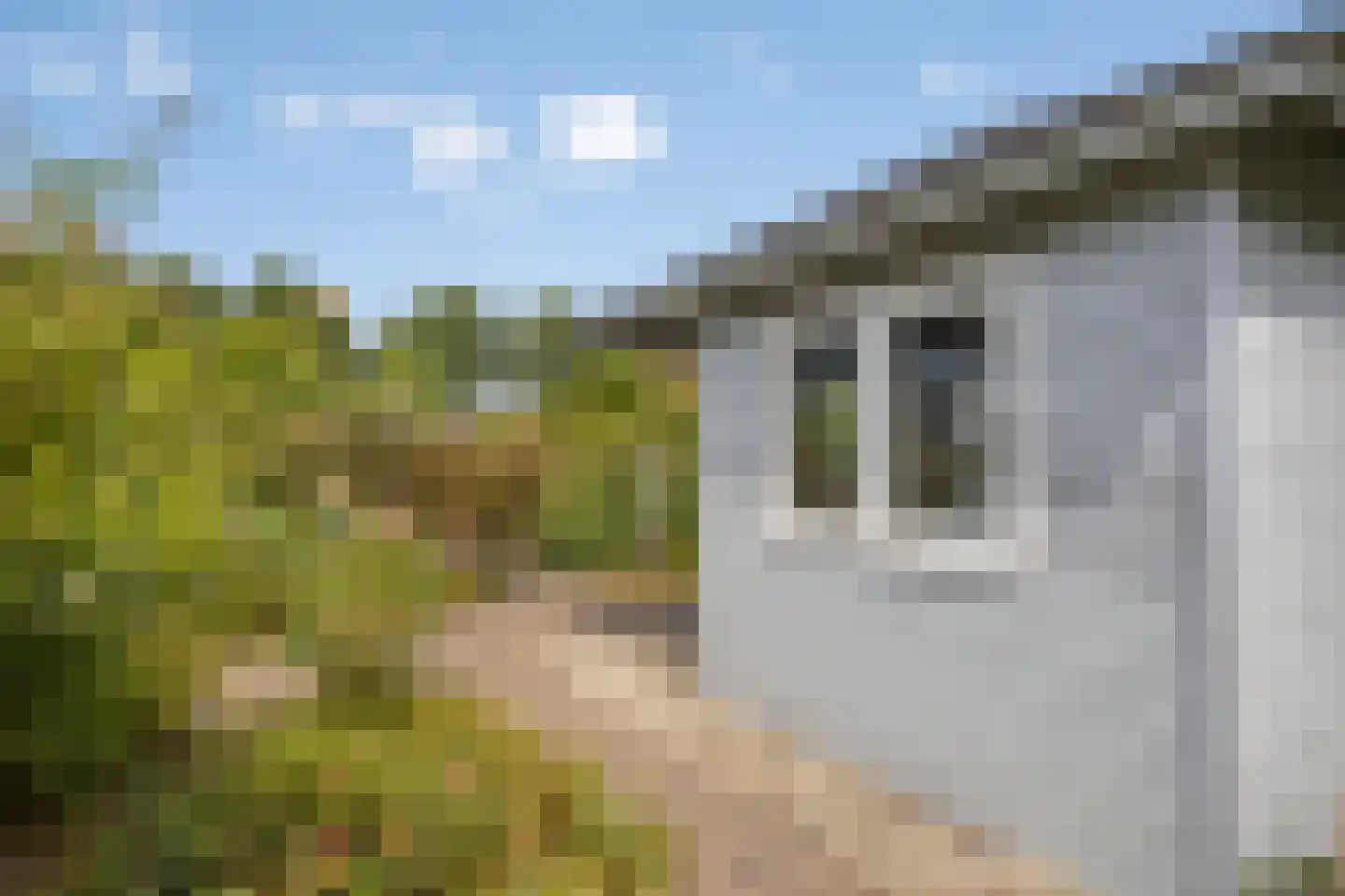 Brienenshofsingel 3 Elst thumbnail 59