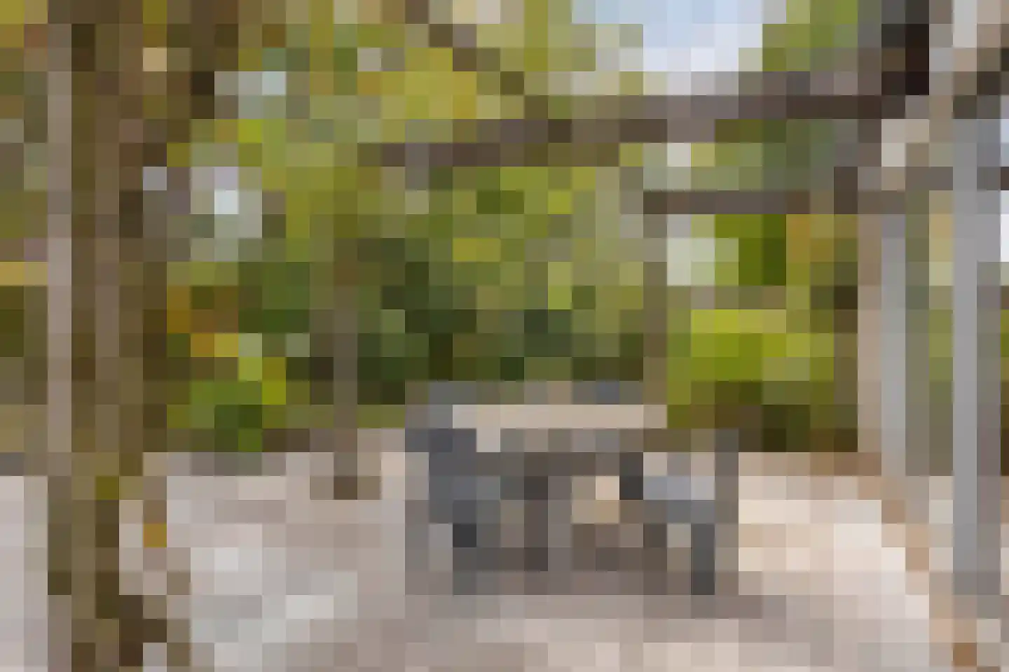 Brienenshofsingel 3 Elst thumbnail 61