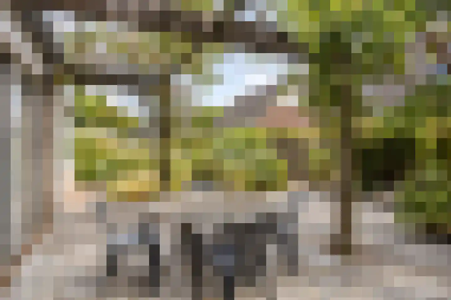 Brienenshofsingel 3 Elst thumbnail 62