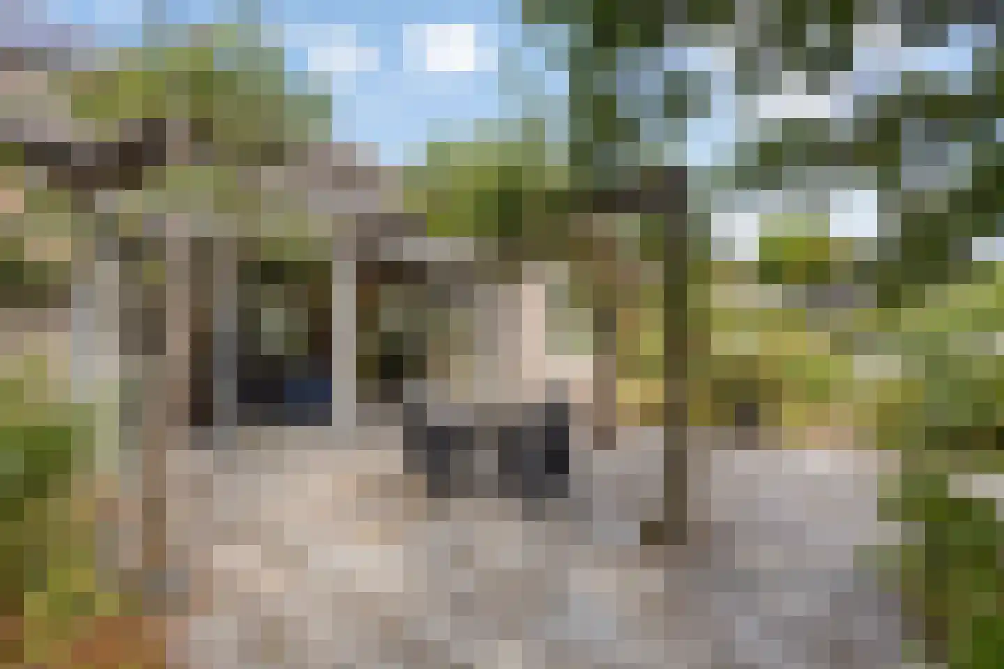 Brienenshofsingel 3 Elst thumbnail 63