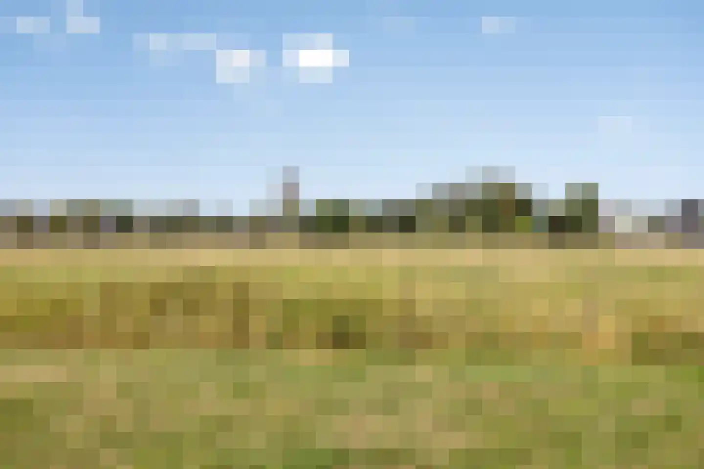 Brienenshofsingel 3 Elst thumbnail 66