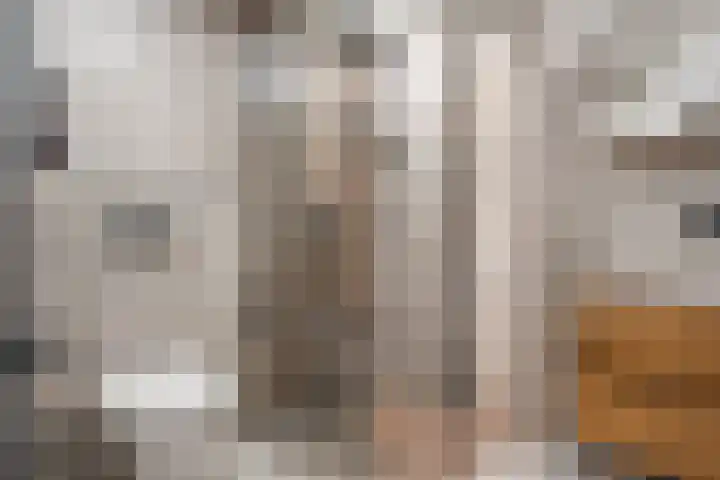 Brieneshof 9 Ede thumbnail 16