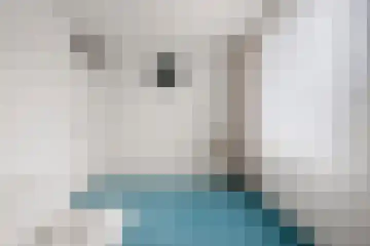 Brieneshof 9 Ede thumbnail 18