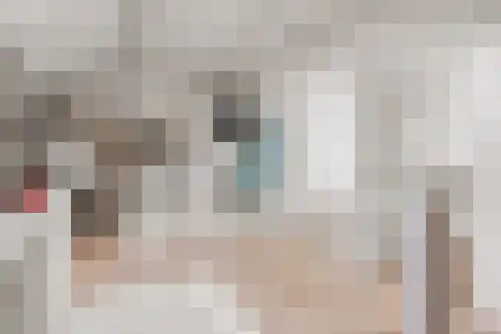 Brieneshof 9 Ede thumbnail 20