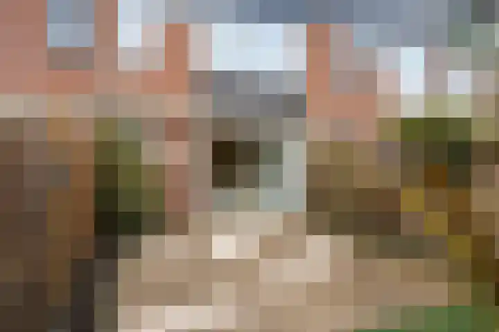 Brieneshof 9 Ede thumbnail 25