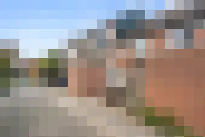 Brieneshof 9 Ede thumbnail 27