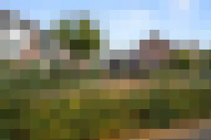 Brieneshof 9 Ede thumbnail 28