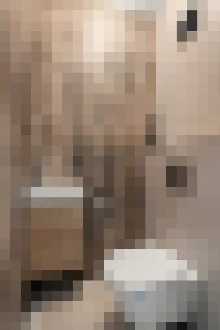 Brieneshof 9 Ede thumbnail 9
