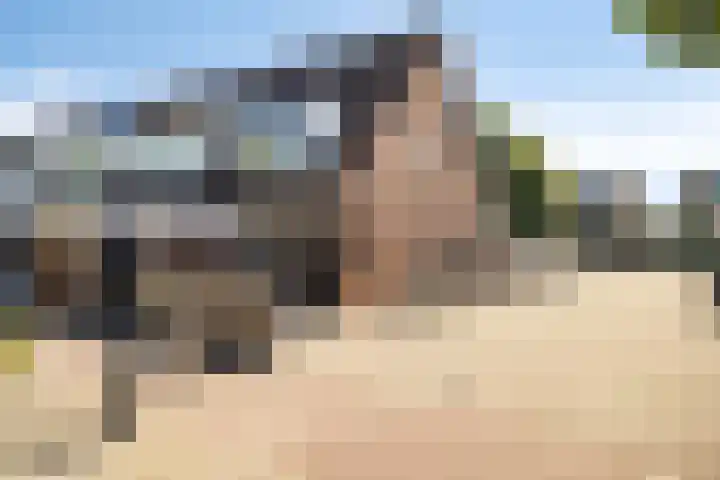 Bries 17 in Noordwijk