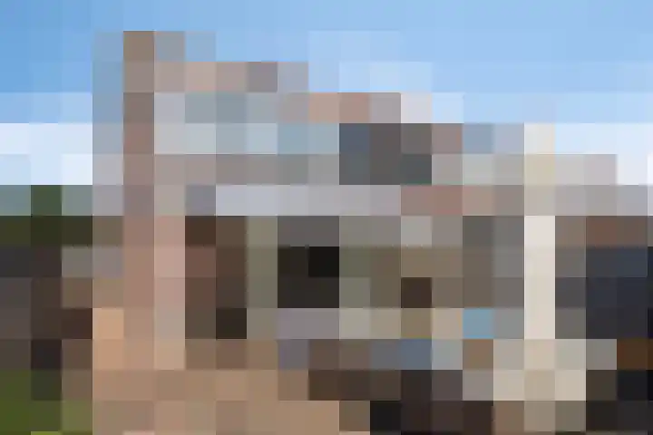 Bries 17 Noordwijk thumbnail 20