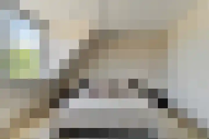 Bries 17 Noordwijk thumbnail 24