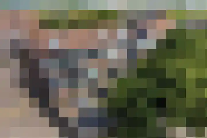 Bries 17 Noordwijk thumbnail 33