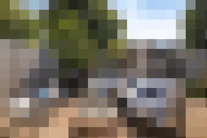 Bries 17 Noordwijk thumbnail 4
