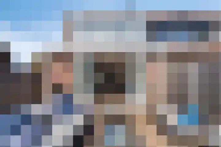 Bries 17 Noordwijk thumbnail 5