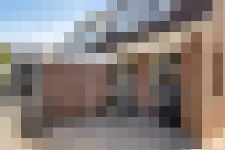 Bries 17 Noordwijk thumbnail 7