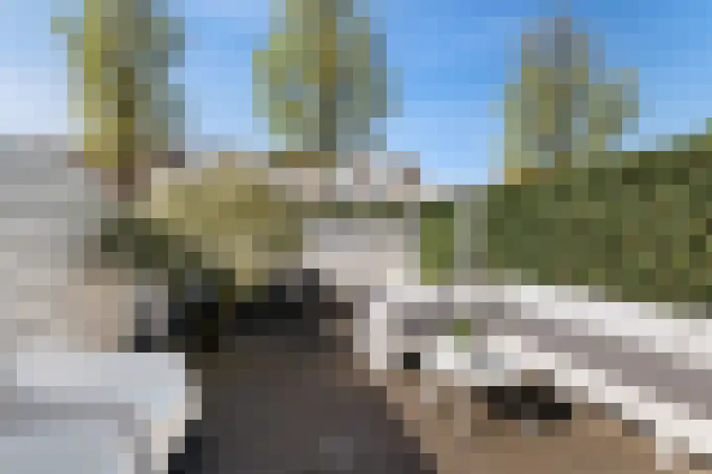 Bries 29 Noordwijk thumbnail 11