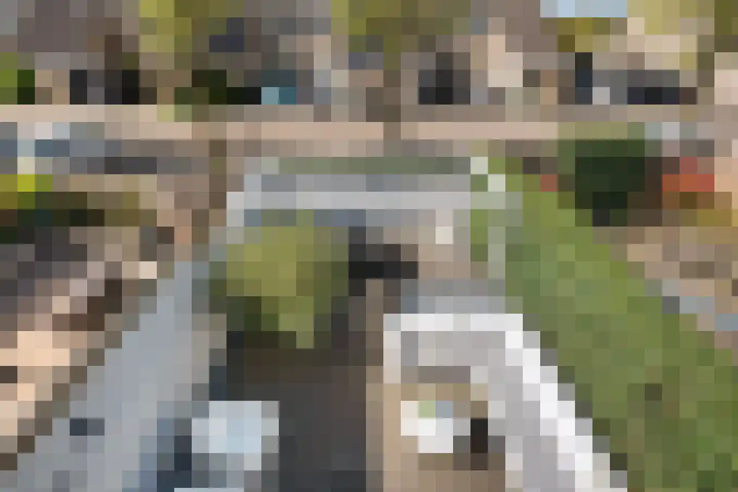 Bries 29 Noordwijk thumbnail 21