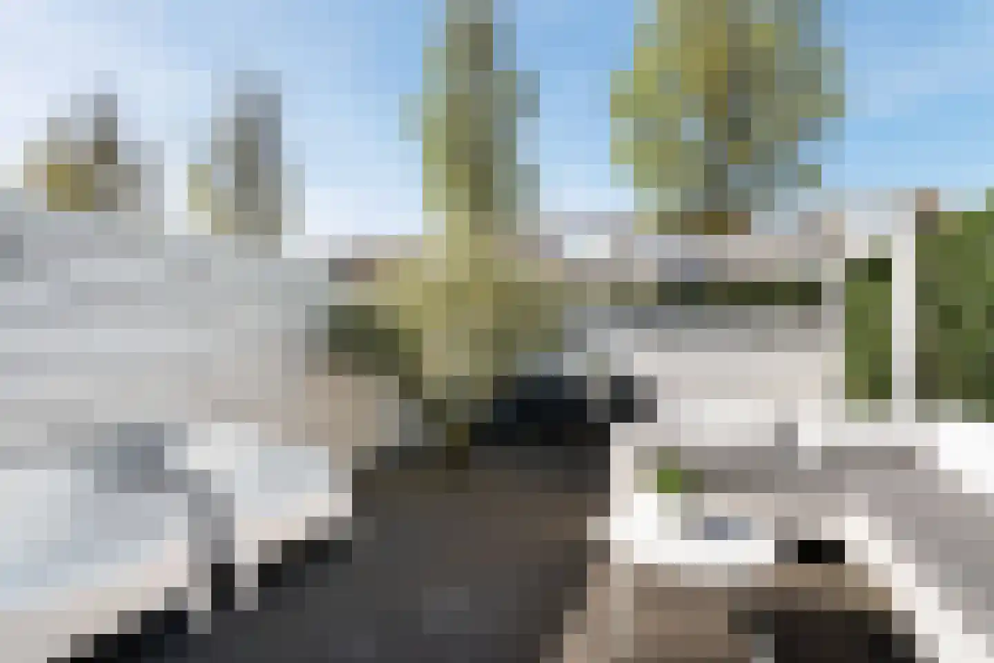 Bries 29 Noordwijk thumbnail 34