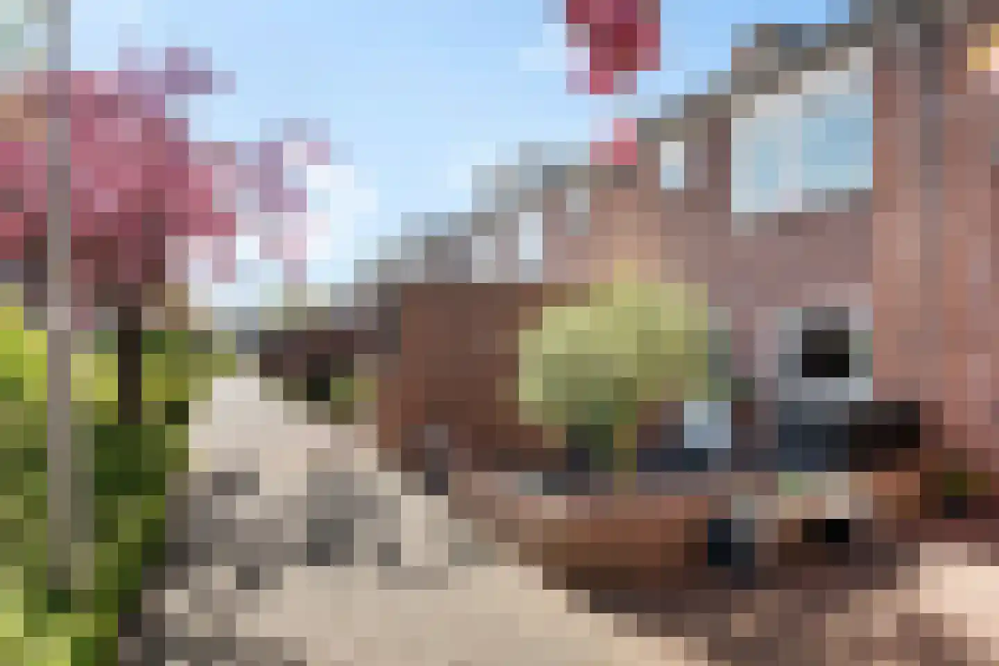 Bries 29 Noordwijk thumbnail 39