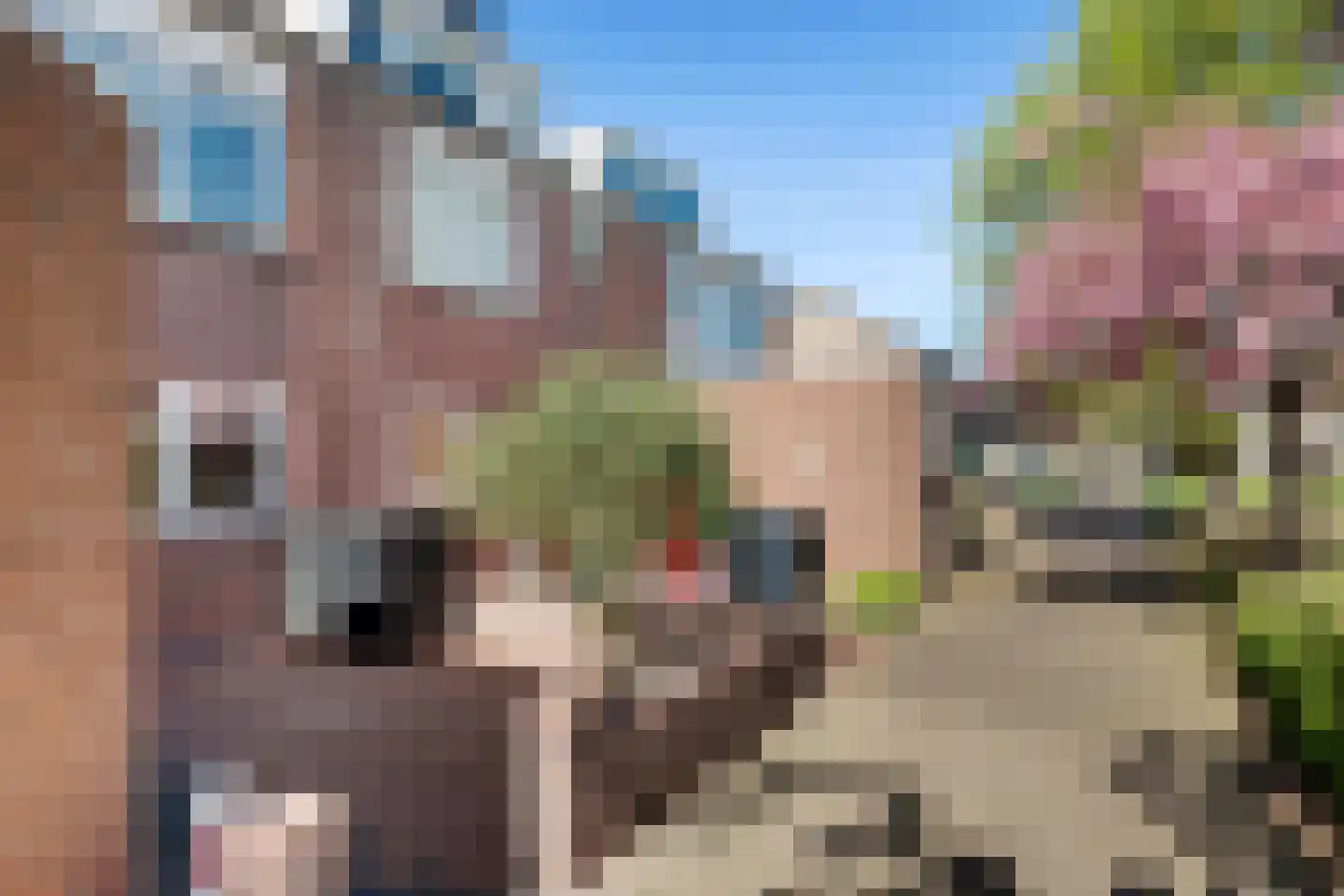 Bries 29 Noordwijk thumbnail 40