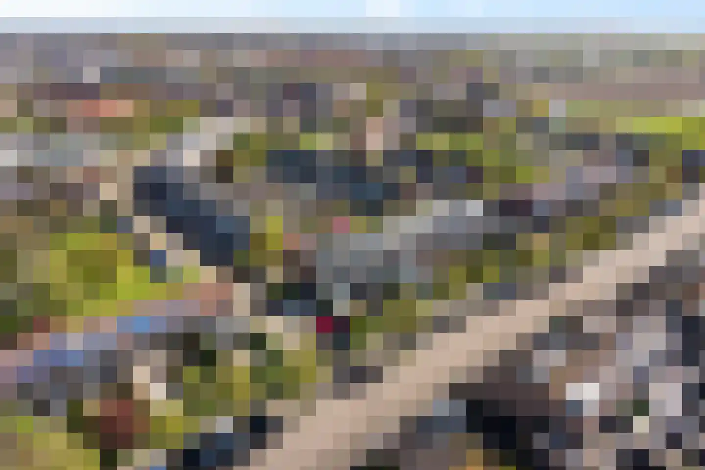 Bries 29 Noordwijk thumbnail 44