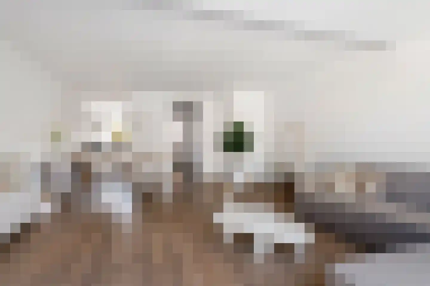 Bries 29 Noordwijk thumbnail 5