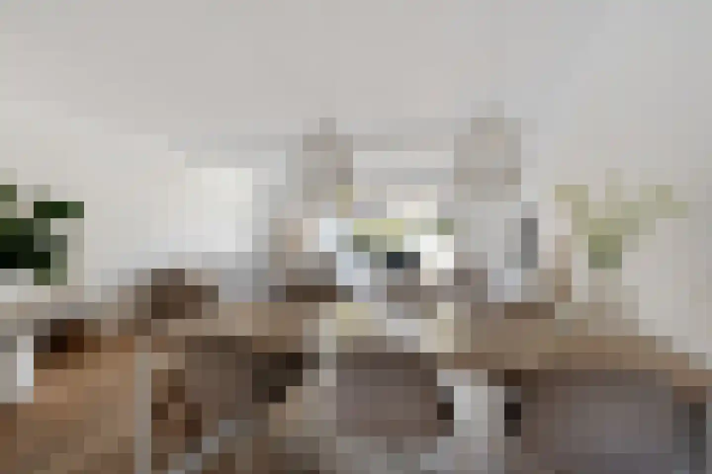Bries 29 Noordwijk thumbnail 7