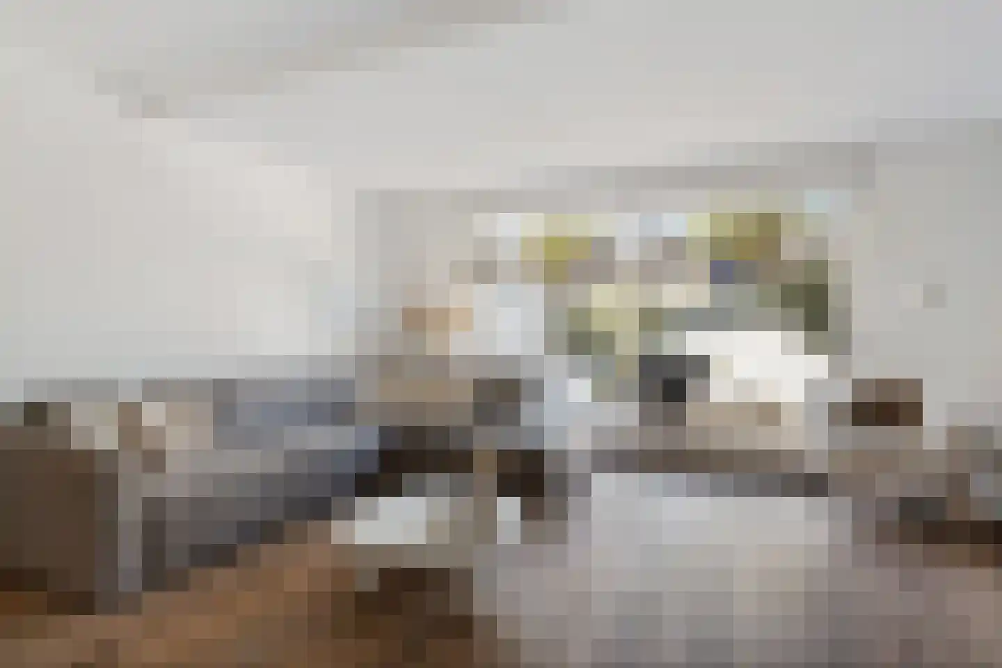 Bries 29 Noordwijk thumbnail 9