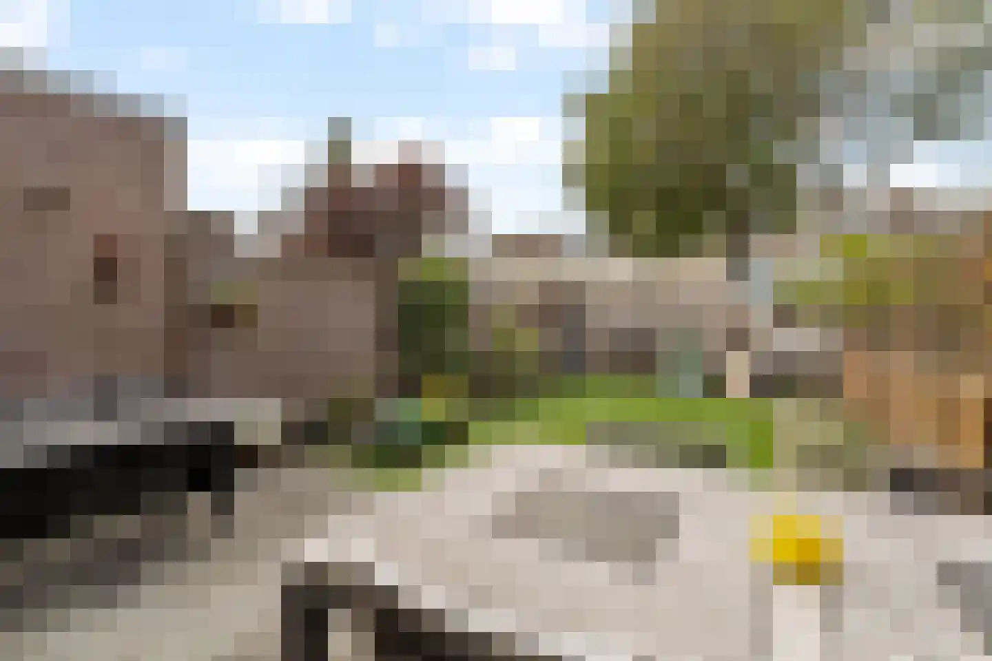Bries 5 Noordwijk thumbnail 12