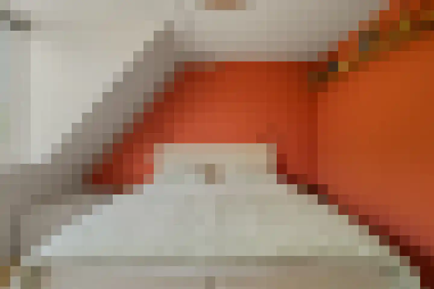Bries 5 Noordwijk thumbnail 22