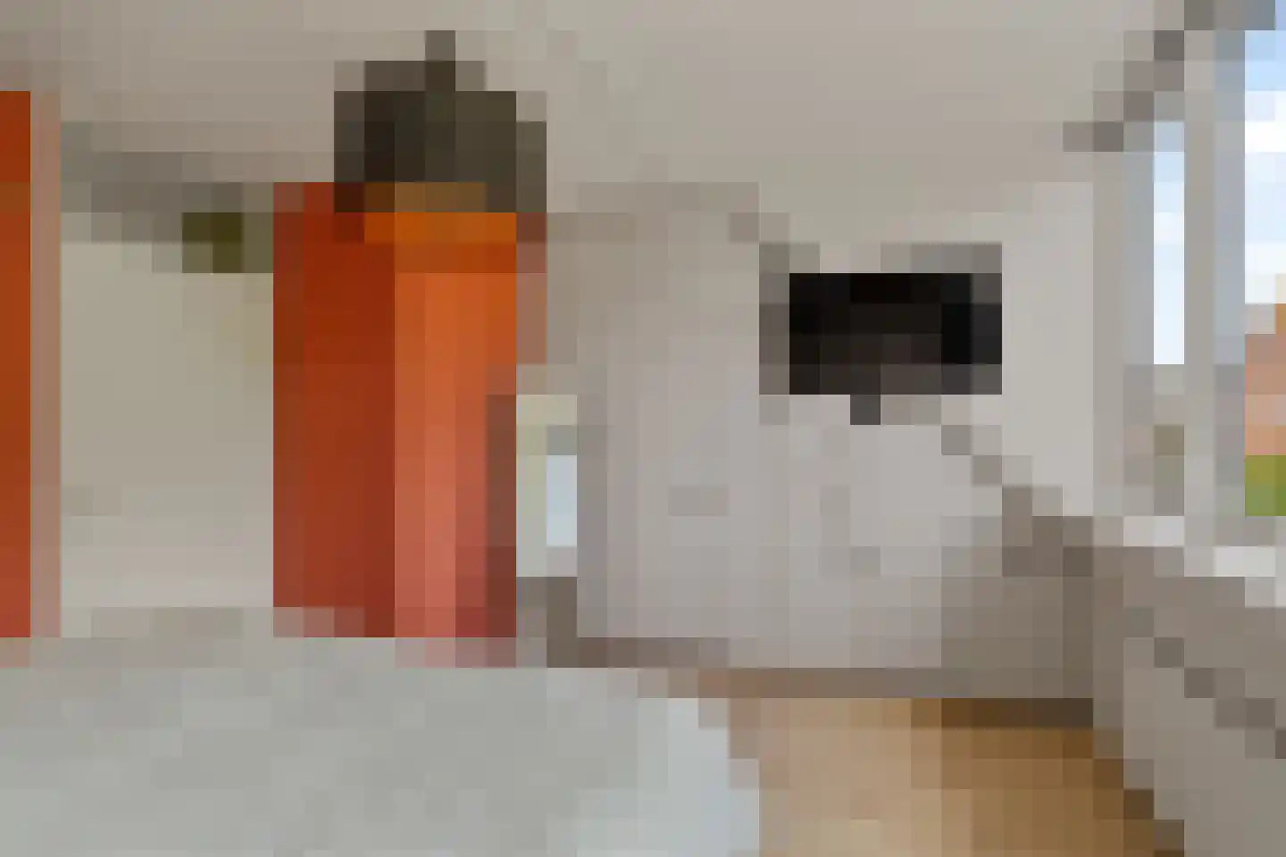 Bries 5 Noordwijk thumbnail 24