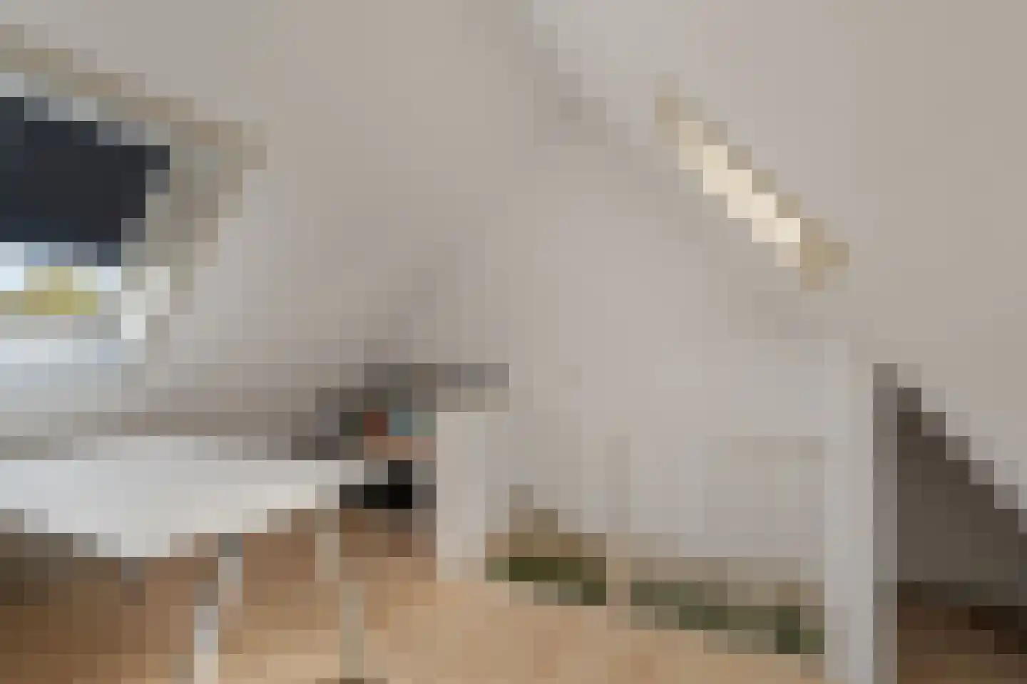 Bries 5 Noordwijk thumbnail 31