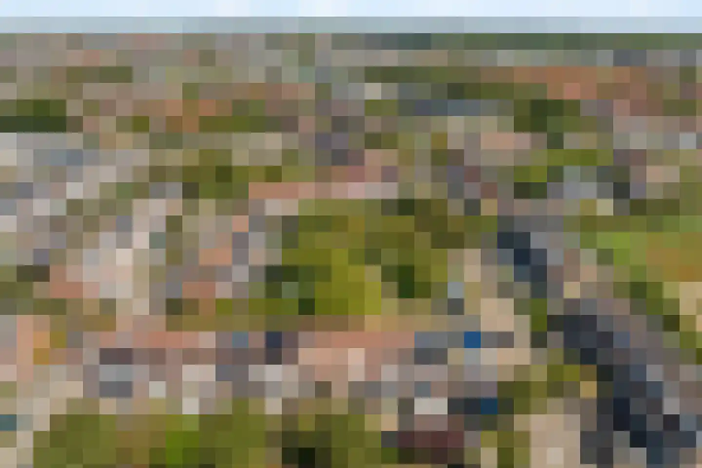 Bries 5 Noordwijk thumbnail 33