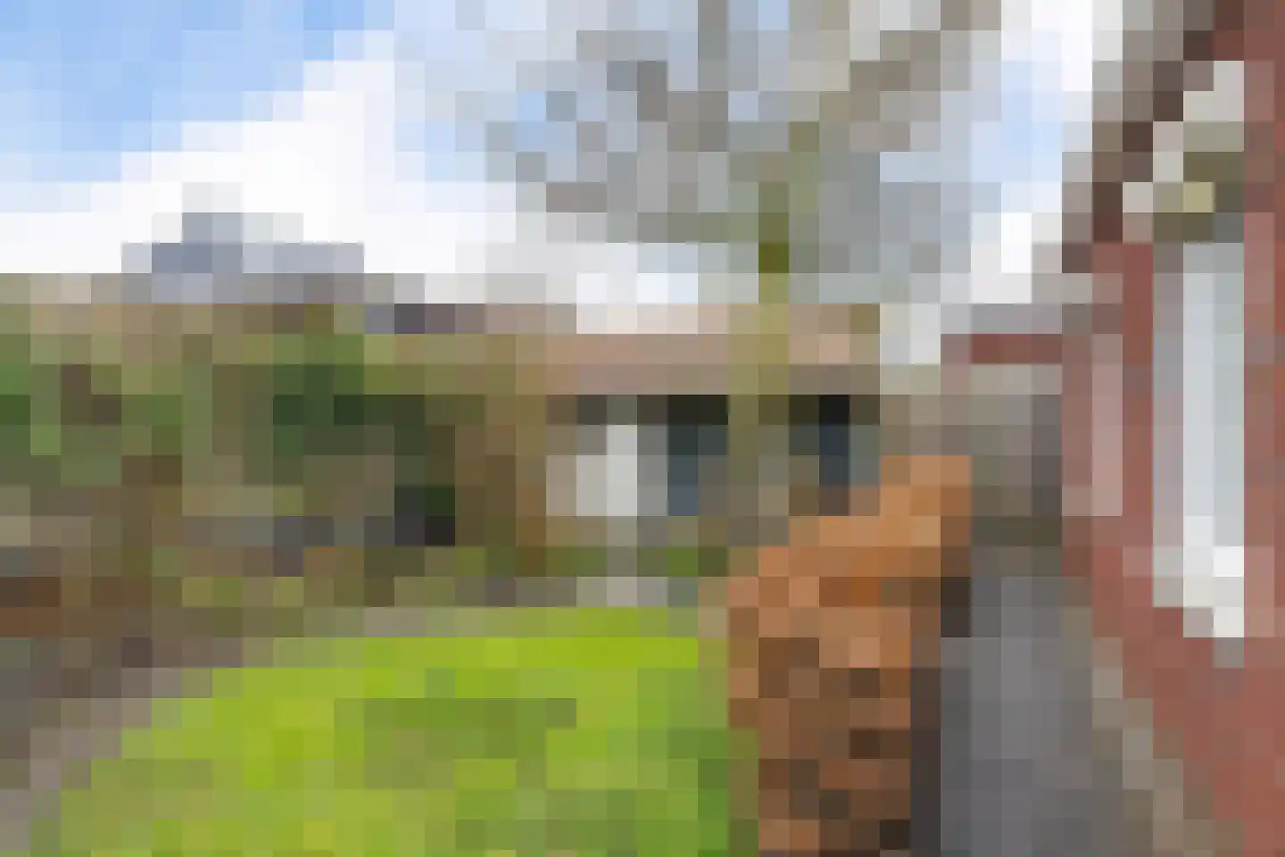 Brigade 18 Steenwijk thumbnail 42
