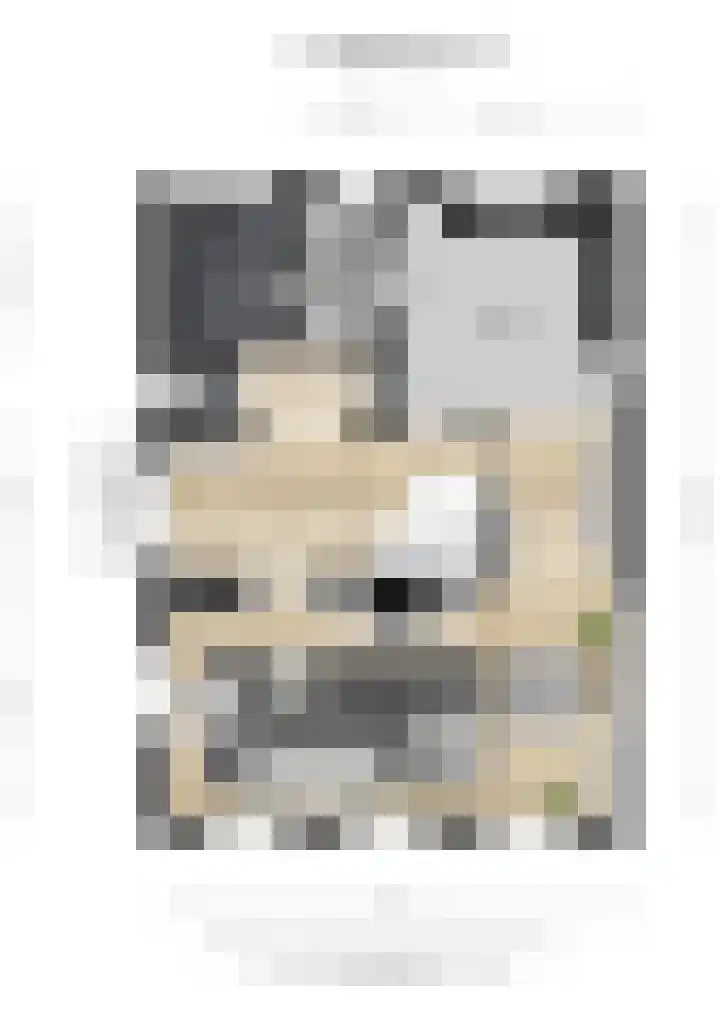 Brigade 2 Steenwijk foto 2