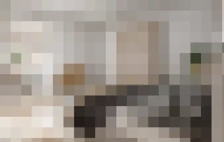 Brigade 30 Steenwijk thumbnail 4