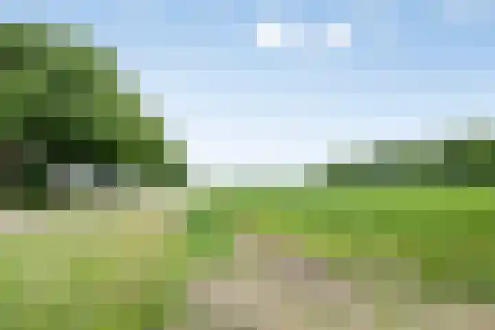 Brigadelaan 46 Zuidlaren thumbnail 30