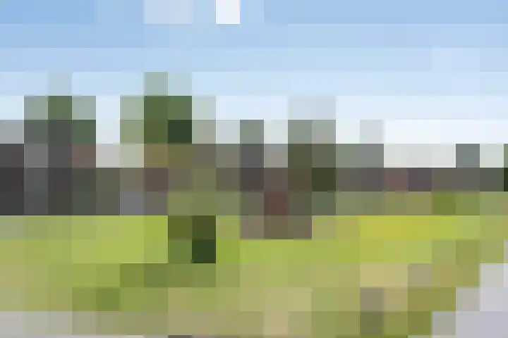 Brigadelaan 46 Zuidlaren thumbnail 31
