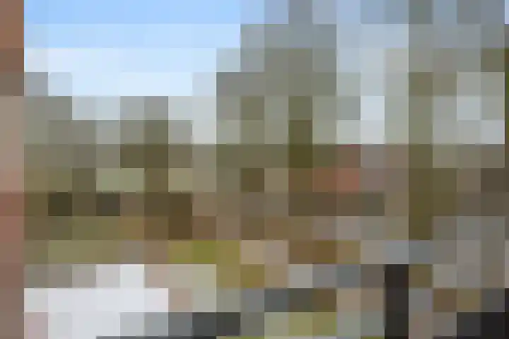 Brigadelaan 60 Zuidlaren thumbnail 12