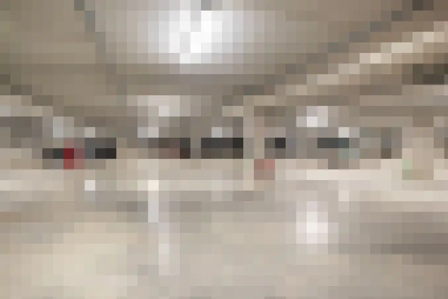 Brigadelaan 87 Ede thumbnail 30