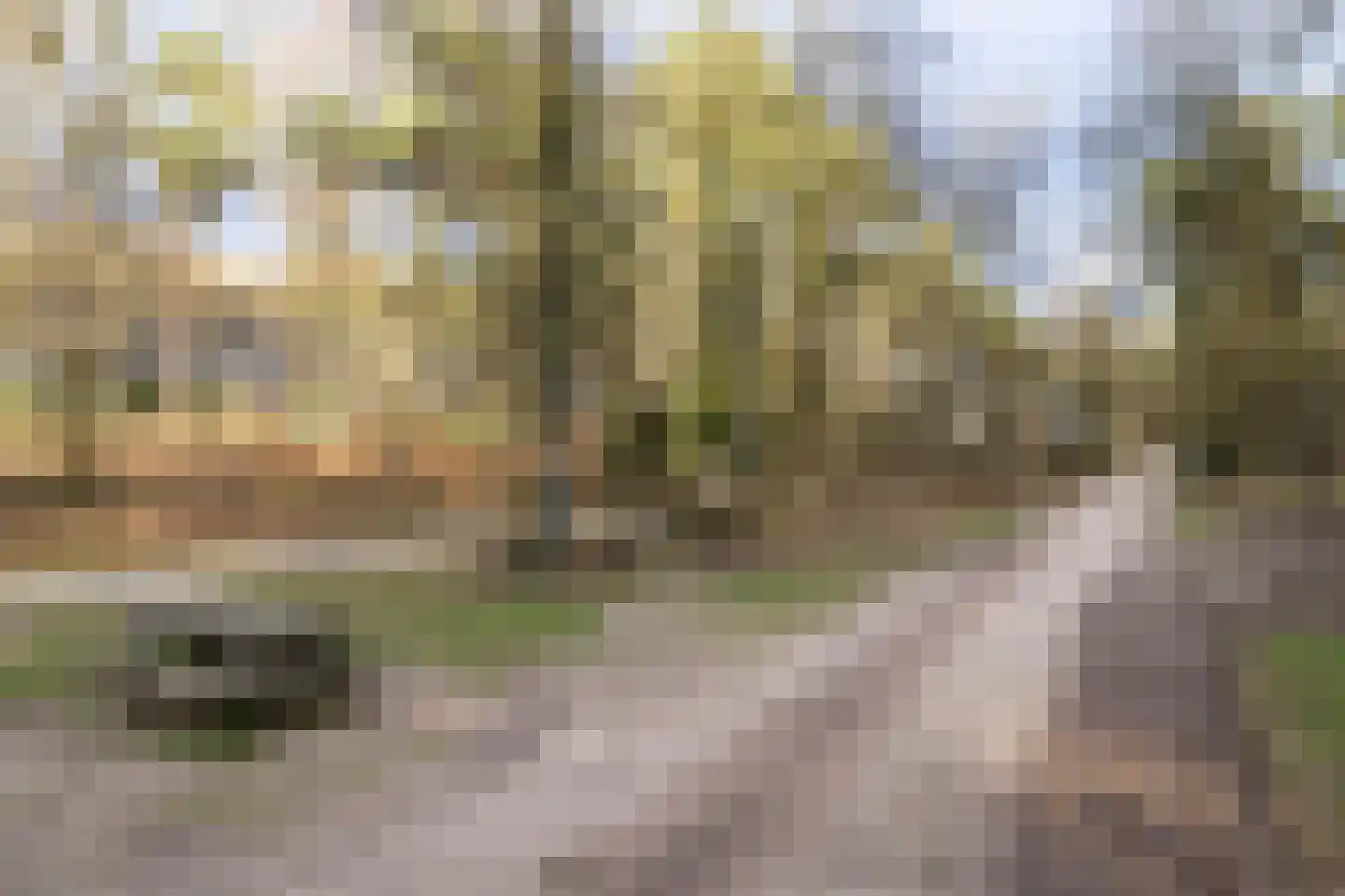 Brigadelaan 87 Ede thumbnail 43