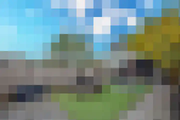 Brigantiastraat 18 Almere thumbnail 32