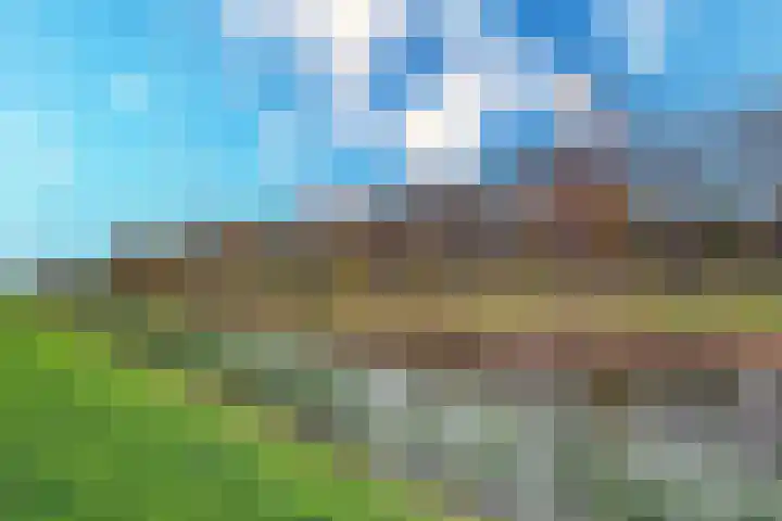 Brigantiastraat 18 Almere thumbnail 41