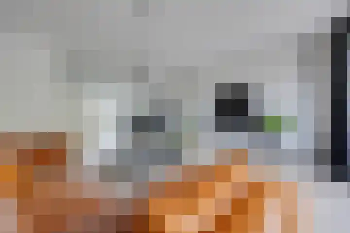 Brigantiastraat 18 Almere thumbnail 7