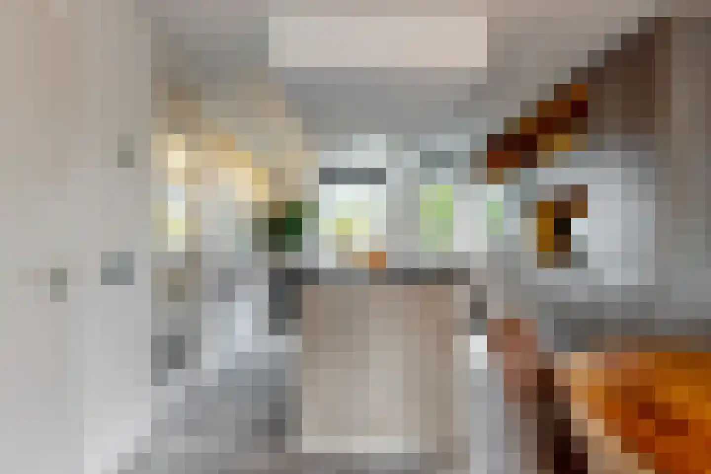 Brigantijn 23 Alphen aan den Rijn thumbnail 11