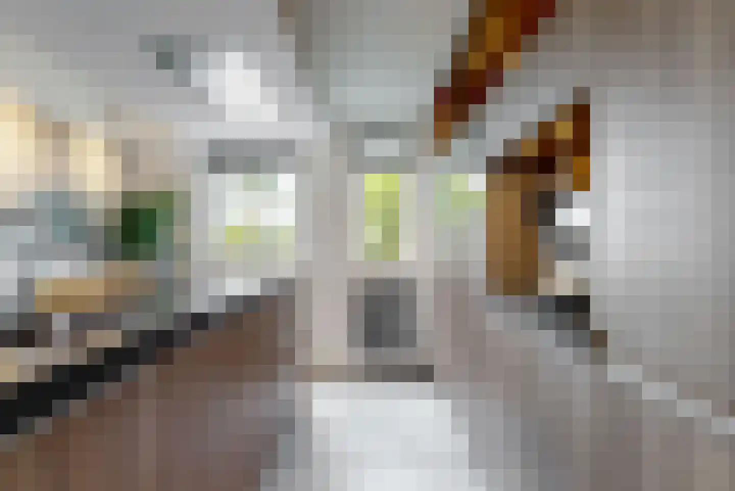 Brigantijn 23 Alphen aan den Rijn thumbnail 9