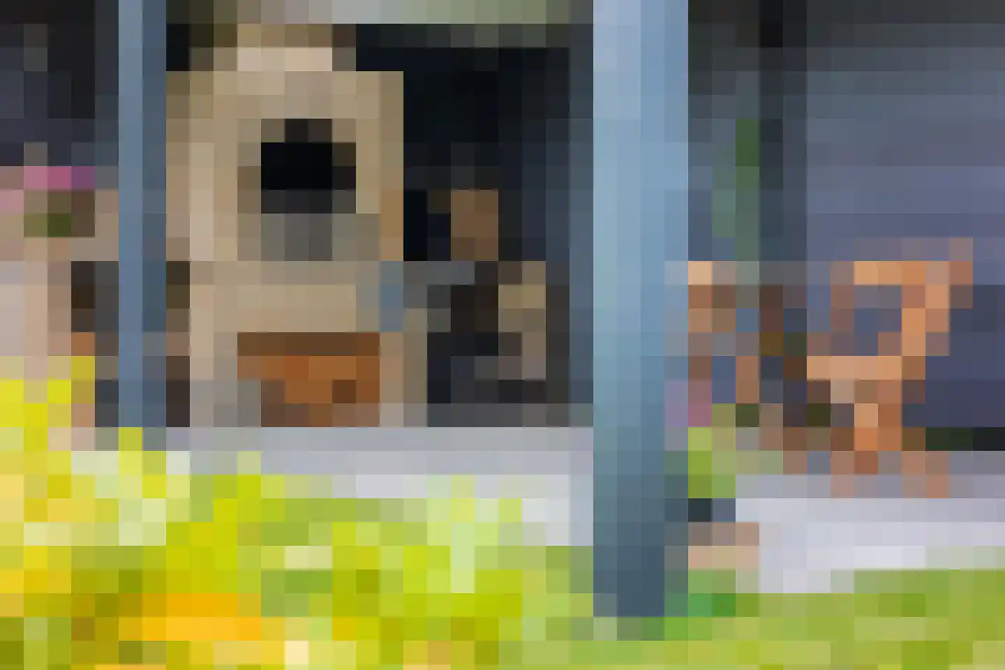 Brigantijn 3 Amstelveen thumbnail 13