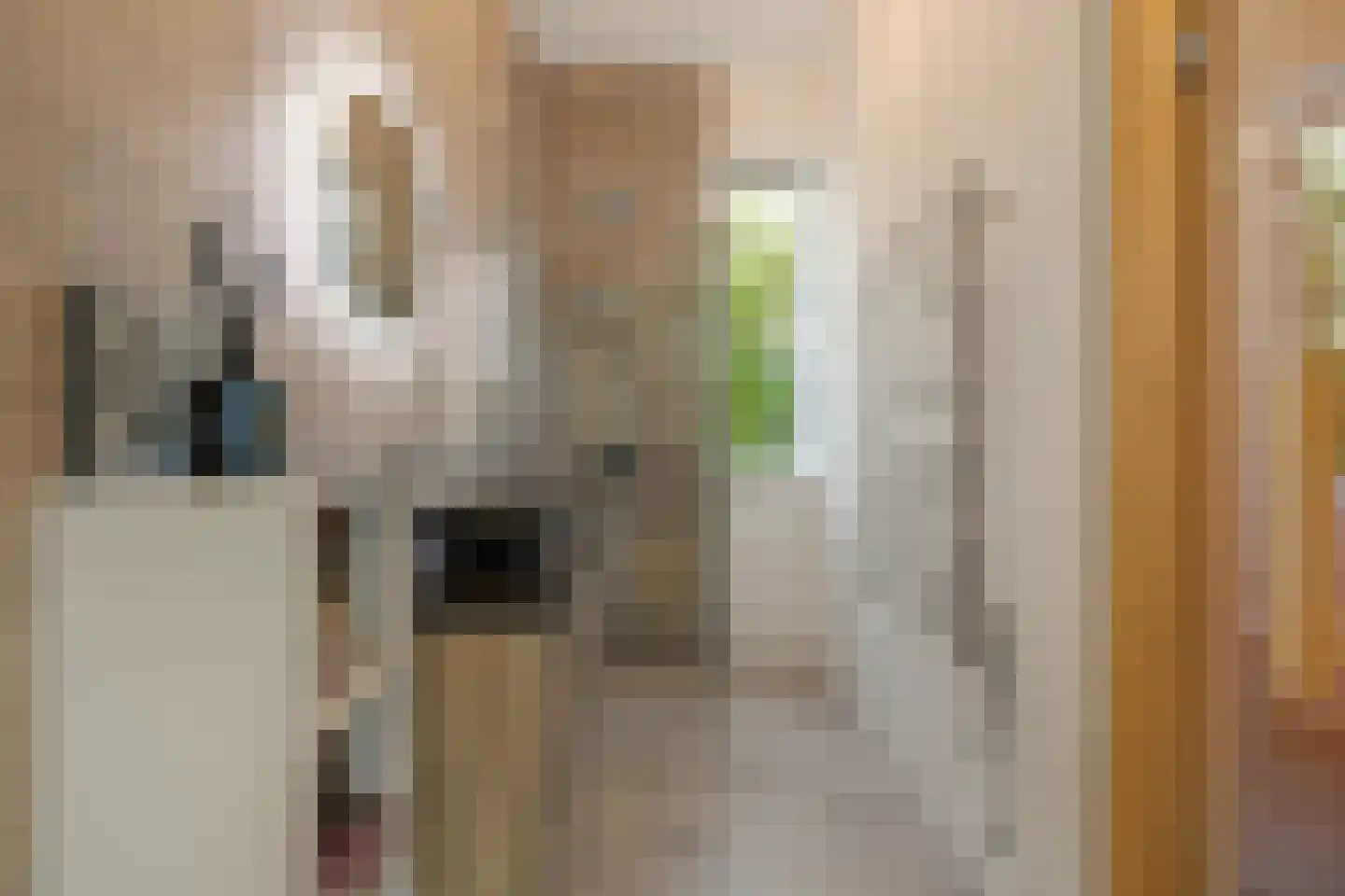 Brigantijn 3 Amstelveen thumbnail 27