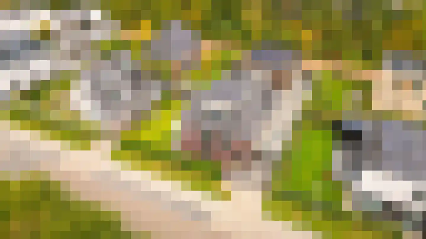 Brigantijn 3 Amstelveen thumbnail 56