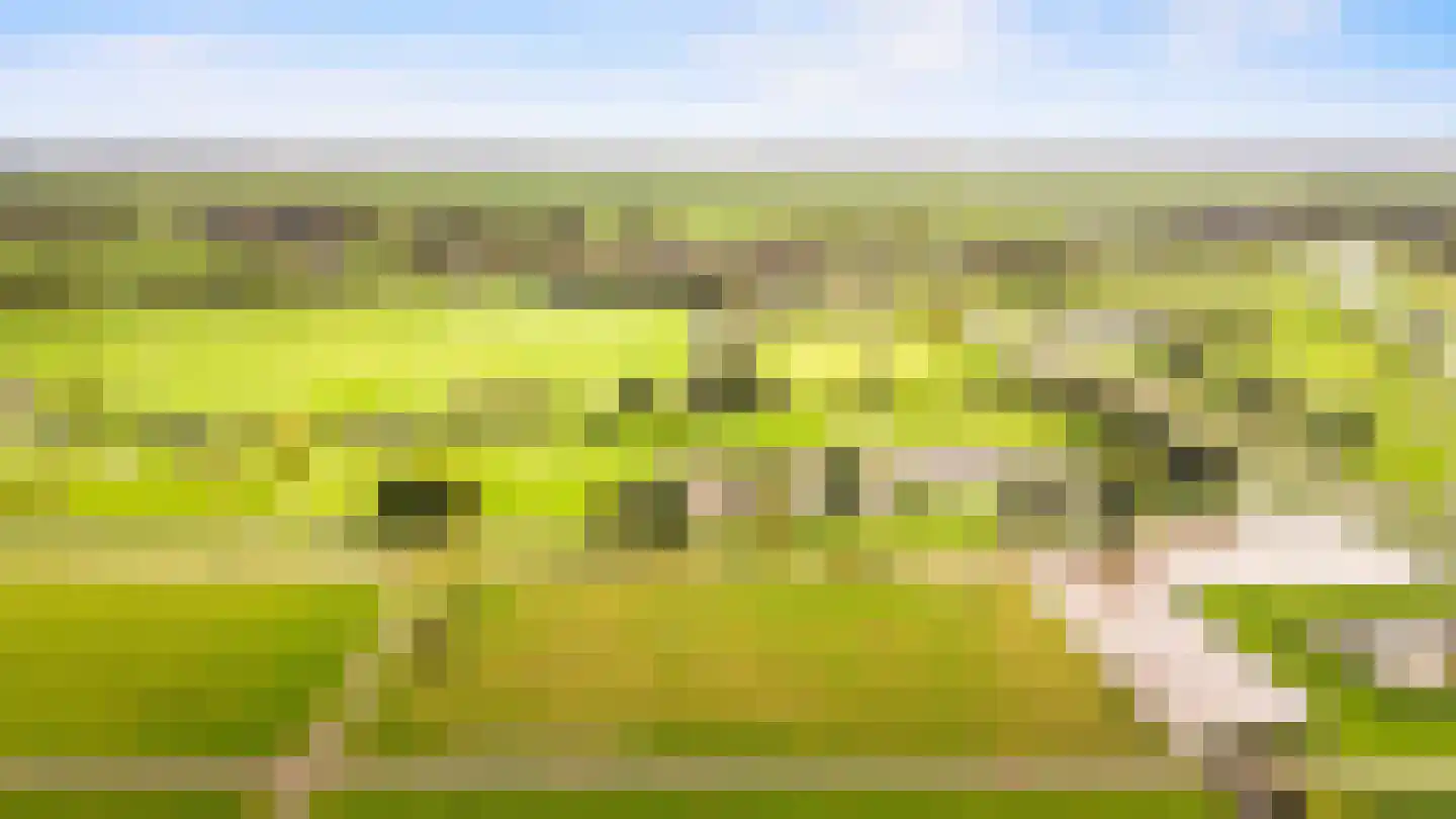 Brigantijn 3 Amstelveen thumbnail 60